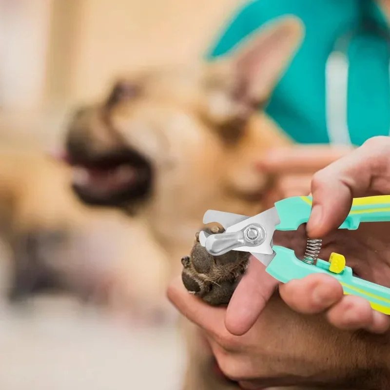 Dog Cat Nail Clippers Professional Stainless Steel Pet Nail Clipper - Image 3